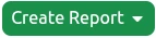 Create Report Button